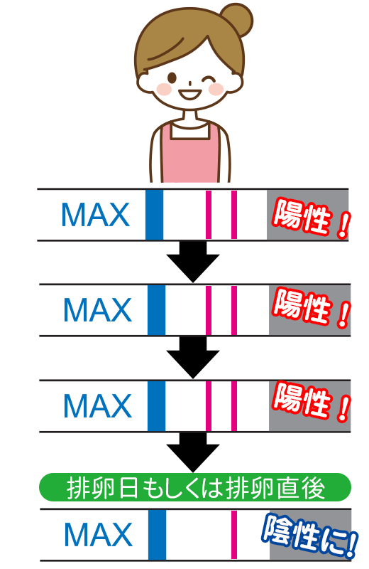 妊娠の確率を上げるための上手なワンステップ排卵検査薬クリアの使い方