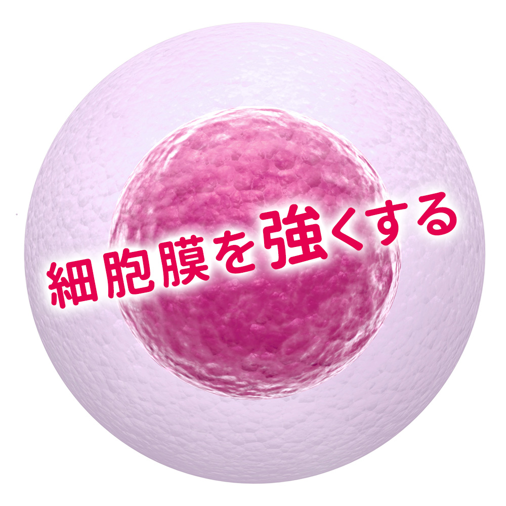 細胞膜を強くする