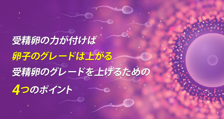 受精卵の力が付けば卵子のグレードは上がる受精卵のグレードを上げるための4つのポイント