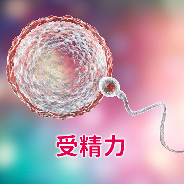 受精力
