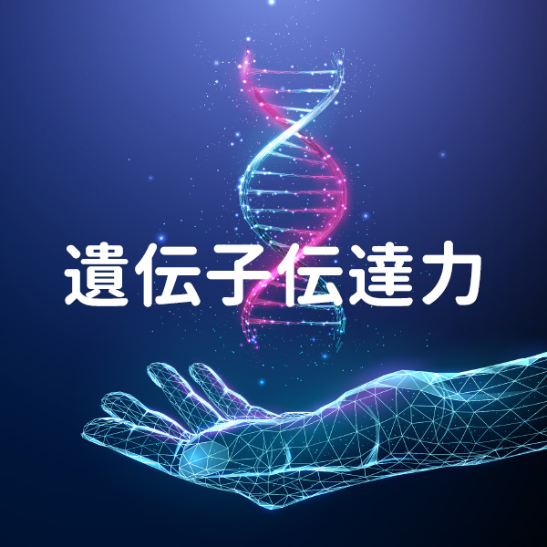 遺伝子伝達力