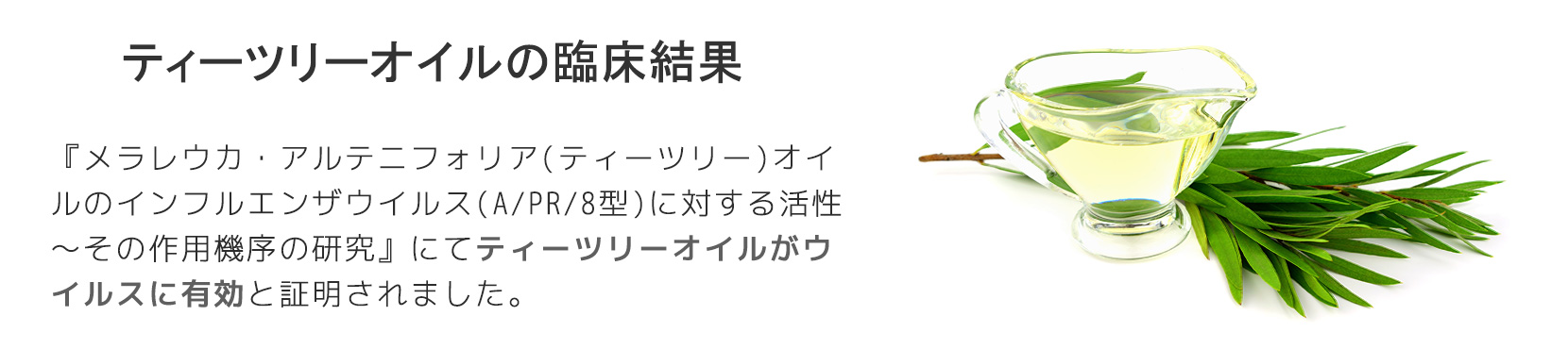 ティーツリーオイルの臨床実験