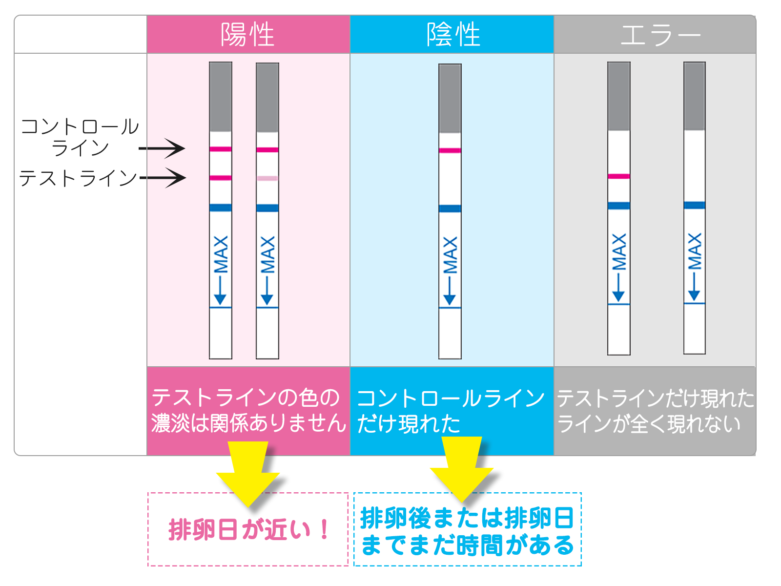 陽性 陰性に迷わない ワンステップ排卵検査薬クリア回分