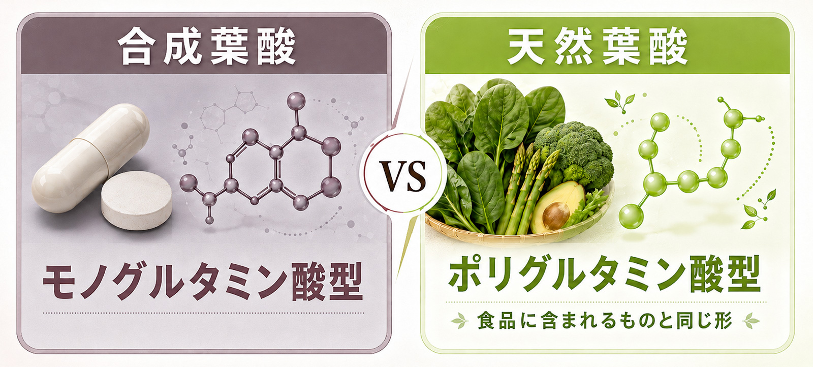 葉酸の種類は、大きく分けて２つ