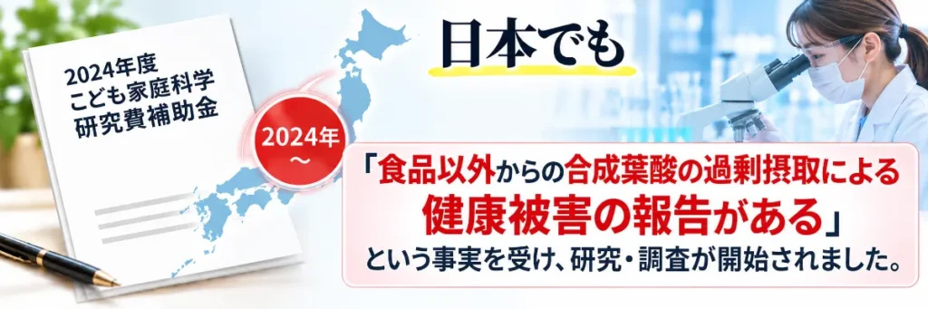 日本でも合成葉酸の過剰摂取による健康被害について研究・調査が開始