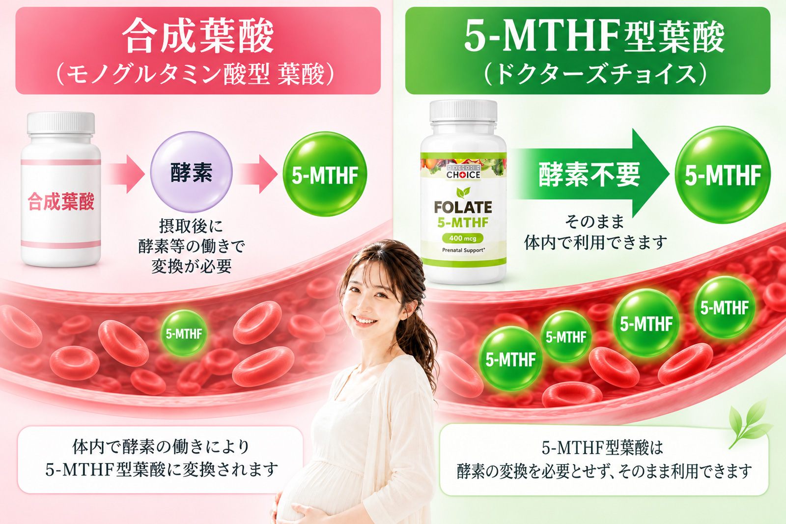 合成葉酸は酵素による変換が必要、5-MTHF型葉酸は酵素変換を必要とせずそのまま利用できることを比較した図解