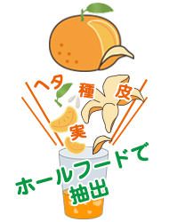 ドクターズチョイス マルチビタミン&ミネラル